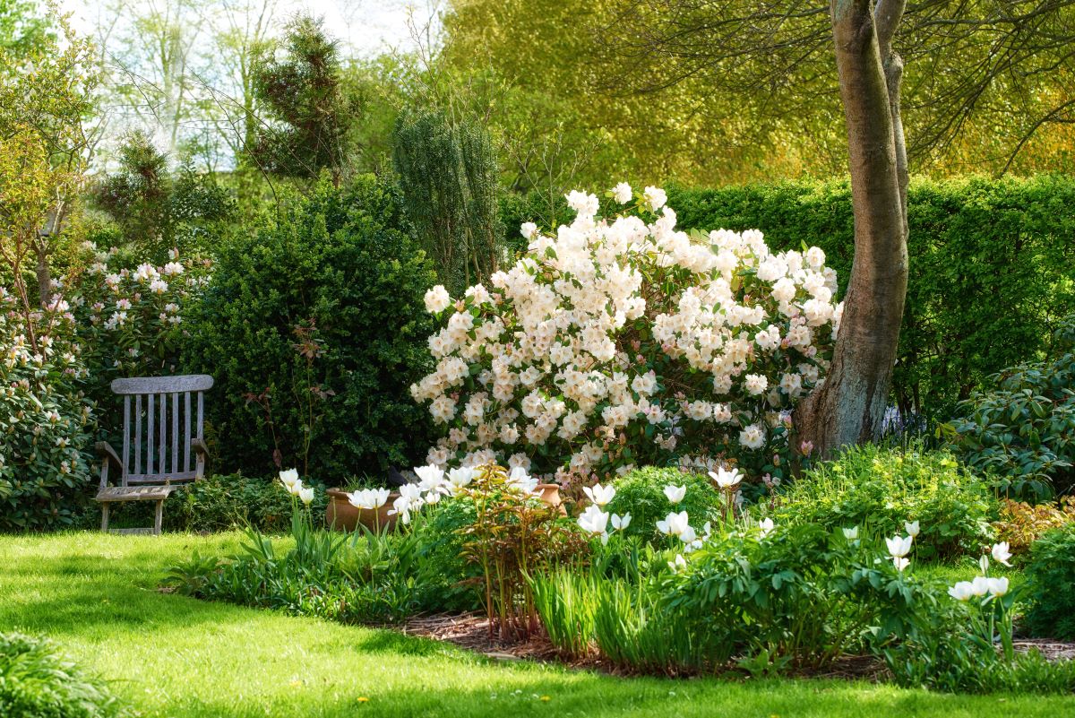 Ruhe im eigenen Garten — Der perfekte Rückzugsort in Ulm und